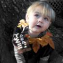 Kristi P. - charity reviews, charity ratings, best charities, best nonprofits, search nonprofits