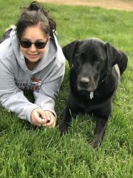 Buddybear245 - charity reviews, charity ratings, best charities, best nonprofits, search nonprofits