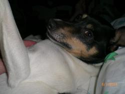 Julie Rector - charity reviews, charity ratings, best charities, best nonprofits, search nonprofits