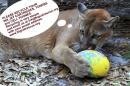 Monica S. - charity reviews, charity ratings, best charities, best nonprofits, search nonprofits
