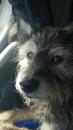 John Jacobs - charity reviews, charity ratings, best charities, best nonprofits, search nonprofits