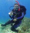 CaroleMermaid - charity reviews, charity ratings, best charities, best nonprofits, search nonprofits