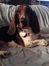 jmeyers - charity reviews, charity ratings, best charities, best nonprofits, search nonprofits