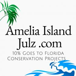 AmeliaIslandJulz - charity reviews, charity ratings, best charities, best nonprofits, search nonprofits