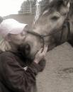 wyldhorses4u - charity reviews, charity ratings, best charities, best nonprofits, search nonprofits