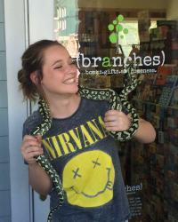 BranchesBooks - charity reviews, charity ratings, best charities, best nonprofits, search nonprofits