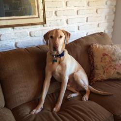 Skye Rivers - charity reviews, charity ratings, best charities, best nonprofits, search nonprofits