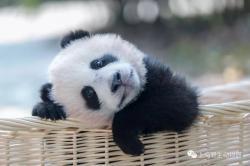 Pat Weiyi - charity reviews, charity ratings, best charities, best nonprofits, search nonprofits
