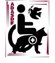 ADASDF - charity reviews, charity ratings, best charities, best nonprofits, search nonprofits