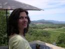 The Zesty Nest - charity reviews, charity ratings, best charities, best nonprofits, search nonprofits