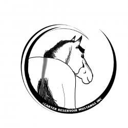 Carter Reservoir Mustangs Inc. - charity reviews, charity ratings, best charities, best nonprofits, search nonprofits