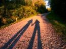 D. Smith - charity reviews, charity ratings, best charities, best nonprofits, search nonprofits