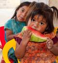 alliesview - charity reviews, charity ratings, best charities, best nonprofits, search nonprofits