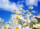 lianka.starkindler - charity reviews, charity ratings, best charities, best nonprofits, search nonprofits
