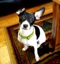 NRTreasurer - charity reviews, charity ratings, best charities, best nonprofits, search nonprofits