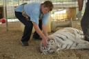 Tigerpaws - charity reviews, charity ratings, best charities, best nonprofits, search nonprofits