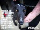45mphCouchPotato - charity reviews, charity ratings, best charities, best nonprofits, search nonprofits