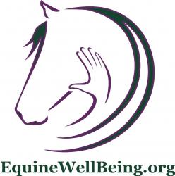 Equine WellBeing Rescue - charity reviews, charity ratings, best charities, best nonprofits, search nonprofits