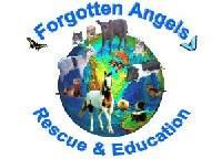 FAREC. - charity reviews, charity ratings, best charities, best nonprofits, search nonprofits