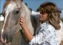 Sheri73 - charity reviews, charity ratings, best charities, best nonprofits, search nonprofits