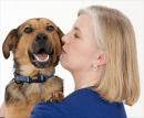 drmaryc - charity reviews, charity ratings, best charities, best nonprofits, search nonprofits