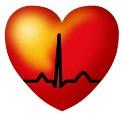 wired4life - charity reviews, charity ratings, best charities, best nonprofits, search nonprofits