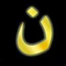 prolife4ever - charity reviews, charity ratings, best charities, best nonprofits, search nonprofits