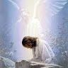 Mary747 - charity reviews, charity ratings, best charities, best nonprofits, search nonprofits