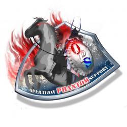 Operation Phantom Support - charity reviews, charity ratings, best charities, best nonprofits, search nonprofits