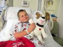 owiebowwowie - charity reviews, charity ratings, best charities, best nonprofits, search nonprofits