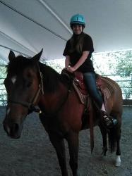 Horselover1998 - charity reviews, charity ratings, best charities, best nonprofits, search nonprofits