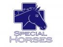 Special Horses - charity reviews, charity ratings, best charities, best nonprofits, search nonprofits