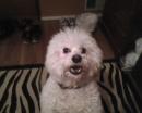 Melody1000 - charity reviews, charity ratings, best charities, best nonprofits, search nonprofits