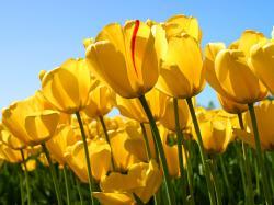 cathygreen09 - charity reviews, charity ratings, best charities, best nonprofits, search nonprofits