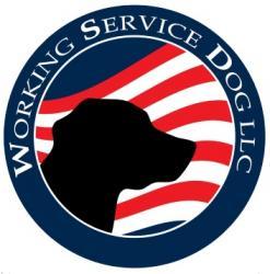 WorkingServiceDog - charity reviews, charity ratings, best charities, best nonprofits, search nonprofits