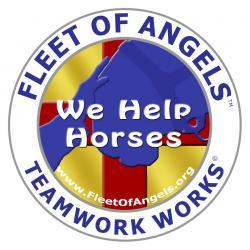 Fleet of Angels - charity reviews, charity ratings, best charities, best nonprofits, search nonprofits
