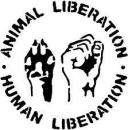 vegan - charity reviews, charity ratings, best charities, best nonprofits, search nonprofits