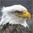 glogdog - charity reviews, charity ratings, best charities, best nonprofits, search nonprofits