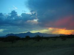 AZterritory - charity reviews, charity ratings, best charities, best nonprofits, search nonprofits