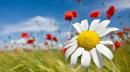 Michelle S. - charity reviews, charity ratings, best charities, best nonprofits, search nonprofits