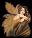 Jan T - charity reviews, charity ratings, best charities, best nonprofits, search nonprofits