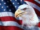 Military Supporter - charity reviews, charity ratings, best charities, best nonprofits, search nonprofits