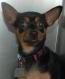 mjake - charity reviews, charity ratings, best charities, best nonprofits, search nonprofits