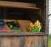 JDaku - charity reviews, charity ratings, best charities, best nonprofits, search nonprofits