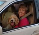 Sarahfunt - charity reviews, charity ratings, best charities, best nonprofits, search nonprofits