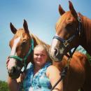 OneRedHorse - charity reviews, charity ratings, best charities, best nonprofits, search nonprofits