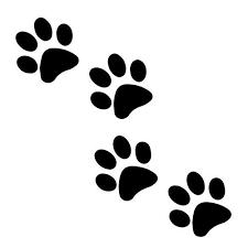lizziehernandez - charity reviews, charity ratings, best charities, best nonprofits, search nonprofits