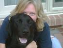 theportkey - charity reviews, charity ratings, best charities, best nonprofits, search nonprofits
