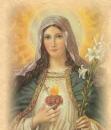 Parvati9 - charity reviews, charity ratings, best charities, best nonprofits, search nonprofits
