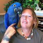 BonnieG - charity reviews, charity ratings, best charities, best nonprofits, search nonprofits